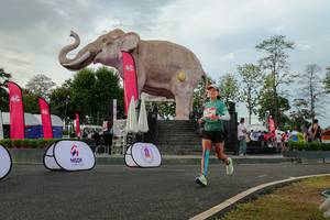 BIB: 
                            <button type="button" onclick="openModal(26528492)" class="btn btn-primary btn-sm float-right btn-popup" data-toggle="modal" data-target=".modal-high-quality">
                        <i class="fas fa-shopping-cart"></i> Add to Cart
                    </button>
                                            <button type="button" onclick="isThisMe(26528492, true)" class="btn btn-success btn-sm float-right btn-popup btn-isme hidden" data-toggle="tooltip" data-placement="bottom" title="นี่คือรูปของคุณใช่ไหม คลิกที่นี่เพื่อเอาเข้าอัลบั้ม">
                        <i class="fas fa-plus"></i> Add to album
                    </button>
                    <button type="button" onclick="isThisMe(26528492, false)" class="btn btn-warning btn-sm float-right btn-popup btn-isnotme hidden">
                        <i class="fas fa-ban"></i> Remove from album
                    </button>